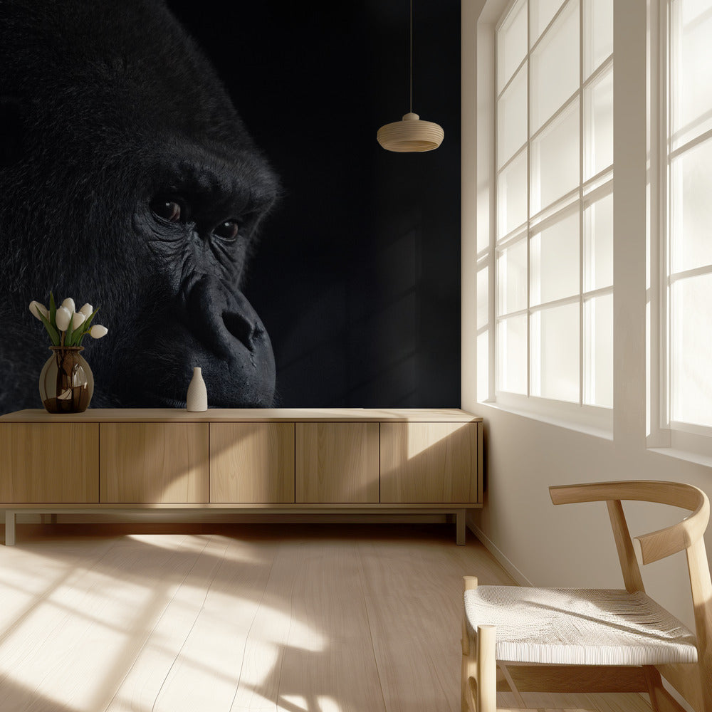 gorilla gaze | Wallpaper