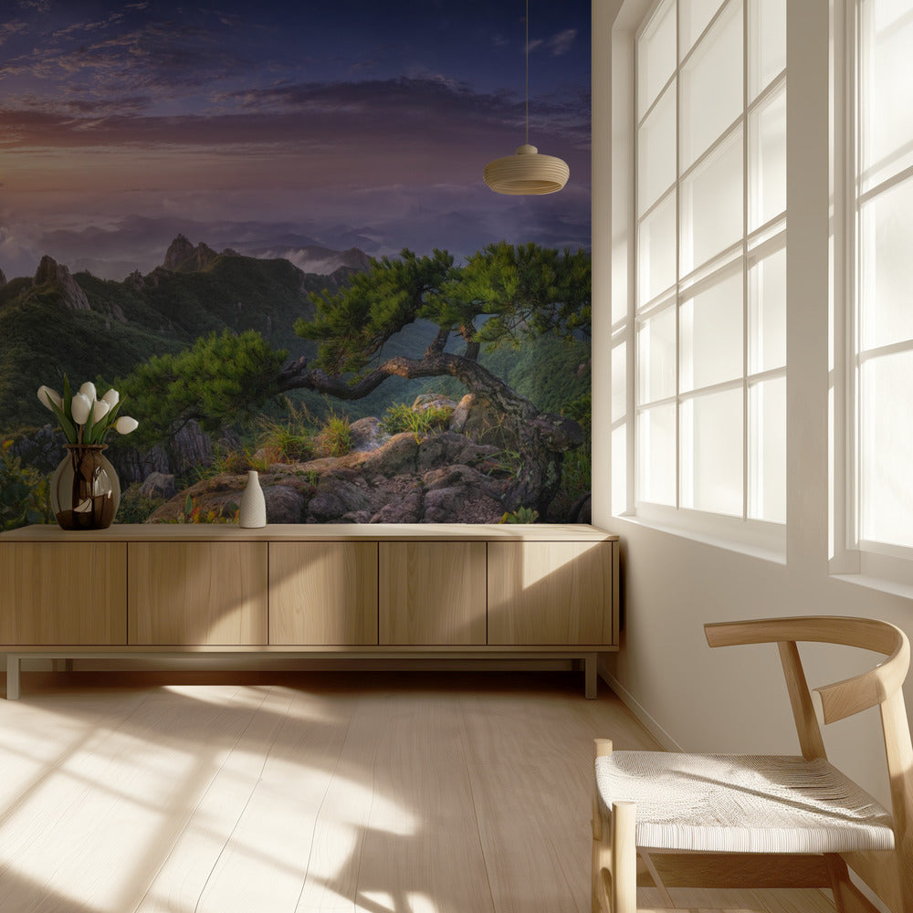 Pine tree on the rock | Wallpaper