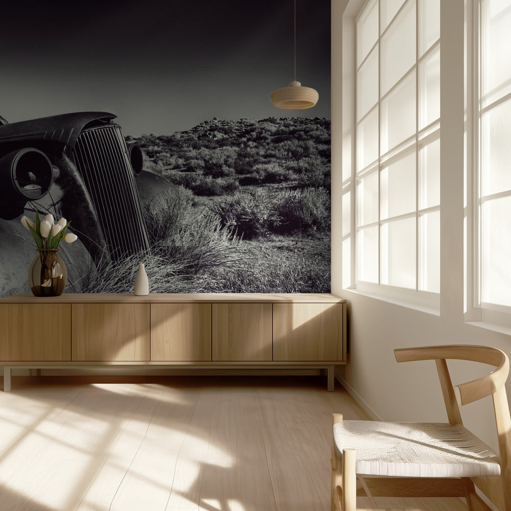 Disposed | Wallpaper