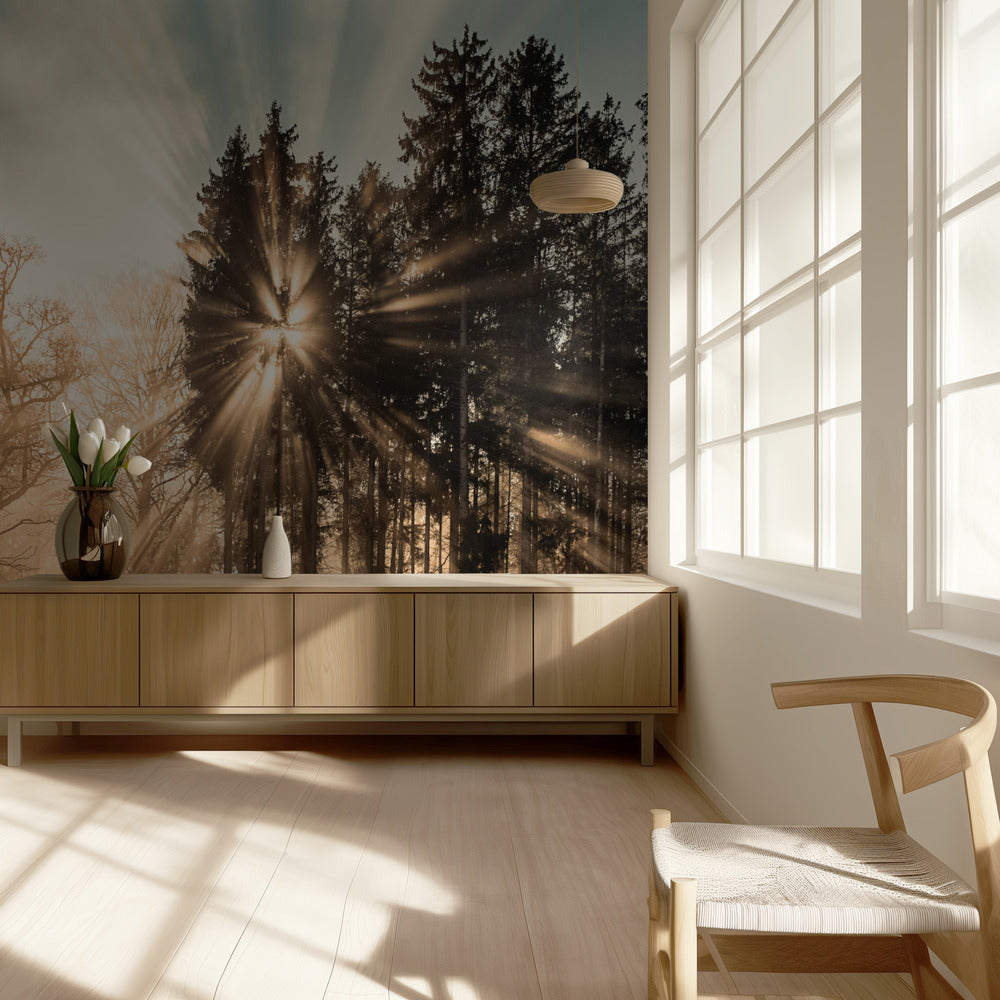 Fading away | Wallpaper