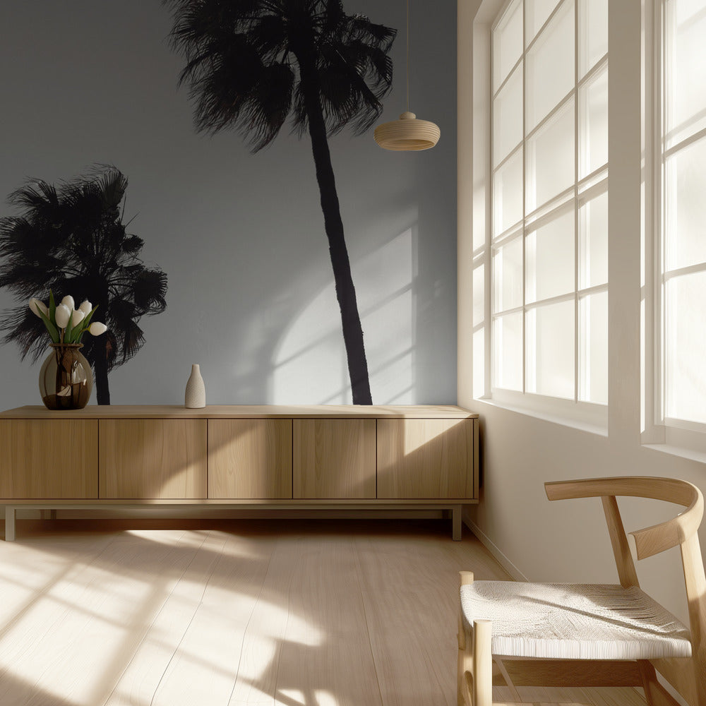 Palm_004 | Wallpaper