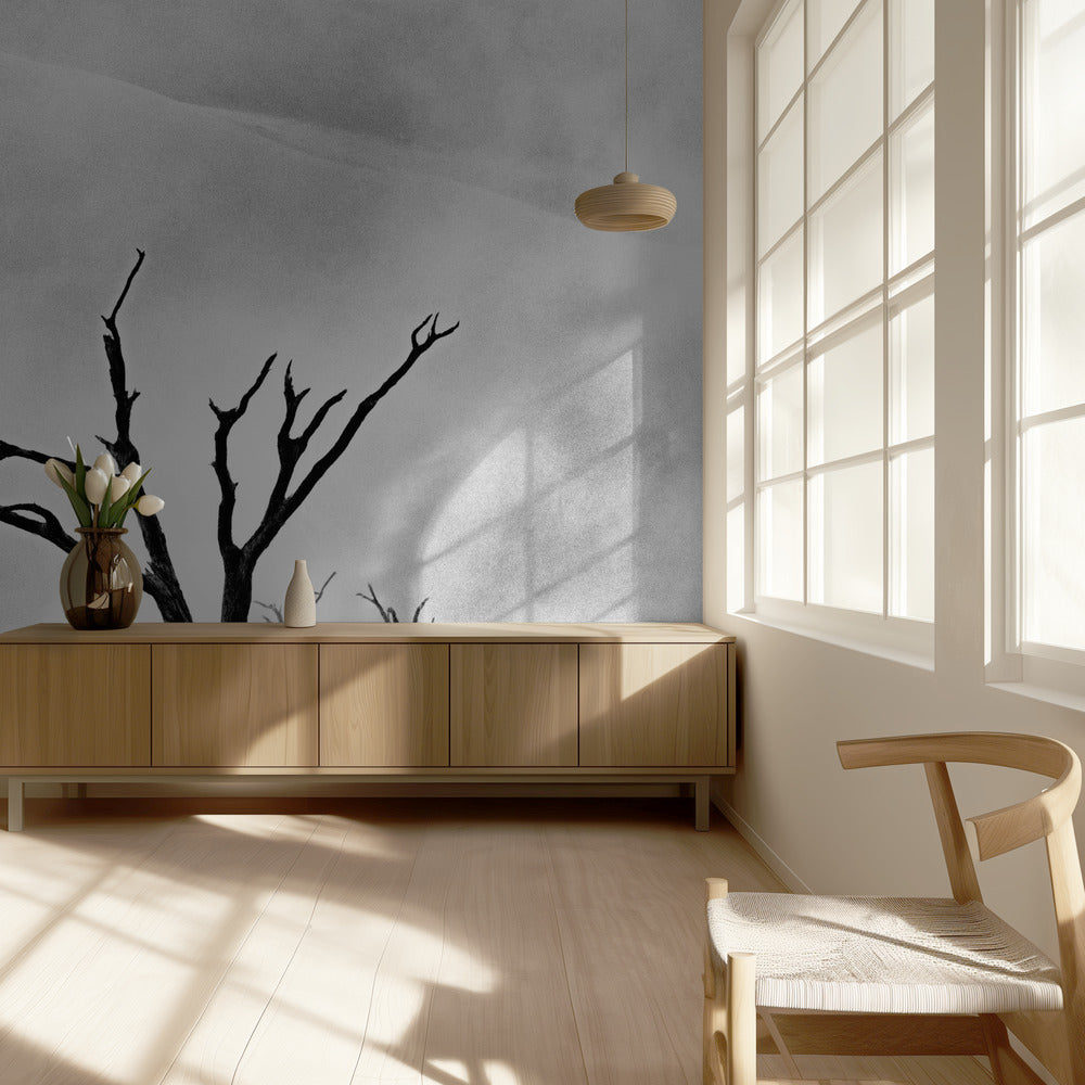 Namibia: The Spirit of Wilderness | Wallpaper