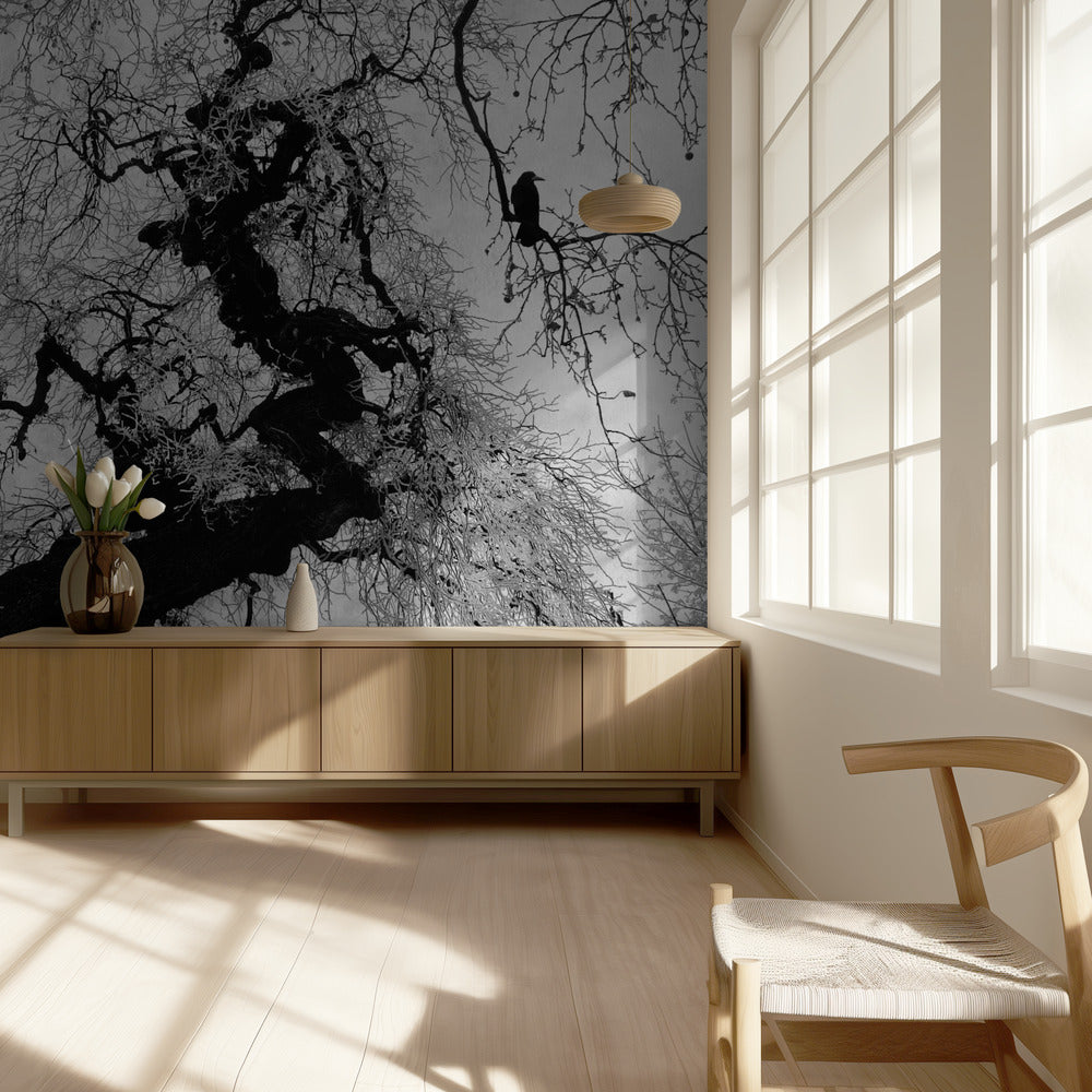 if on a winter's day | Wallpaper