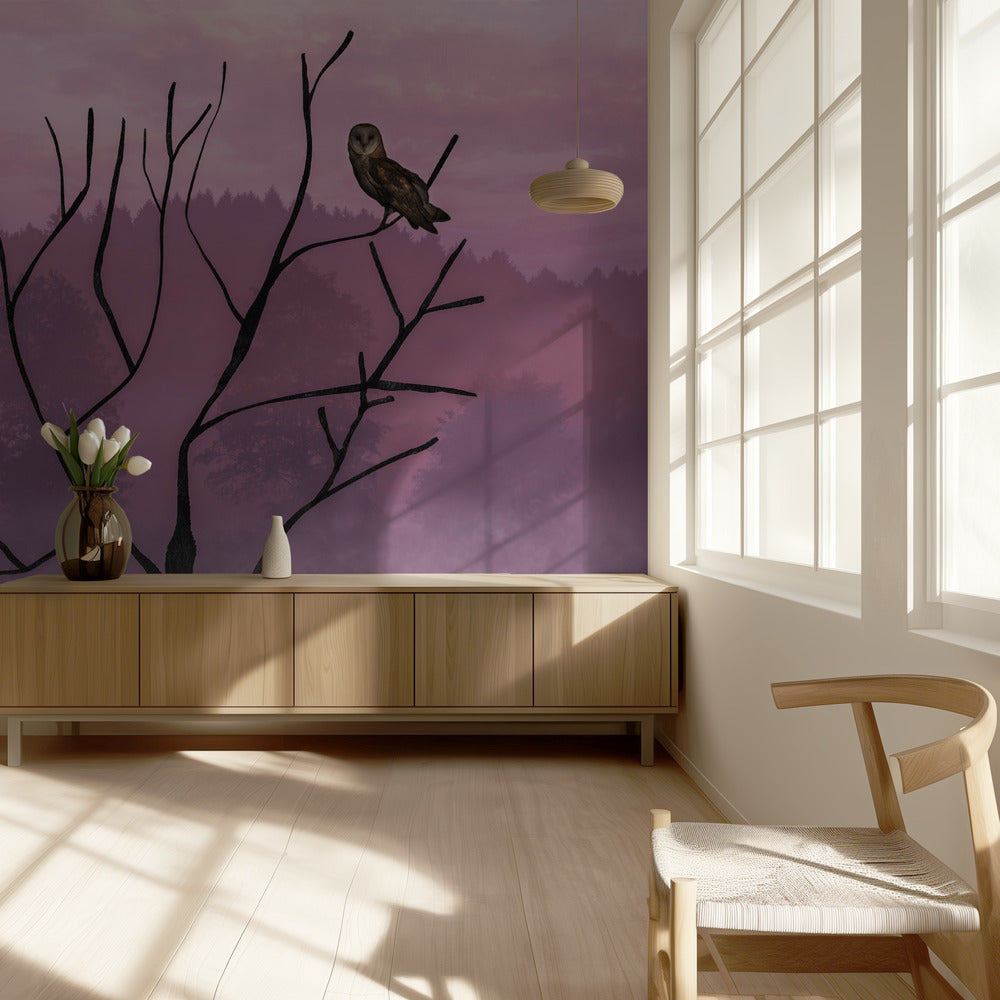 Pink Sky in the Morning | Wallpaper