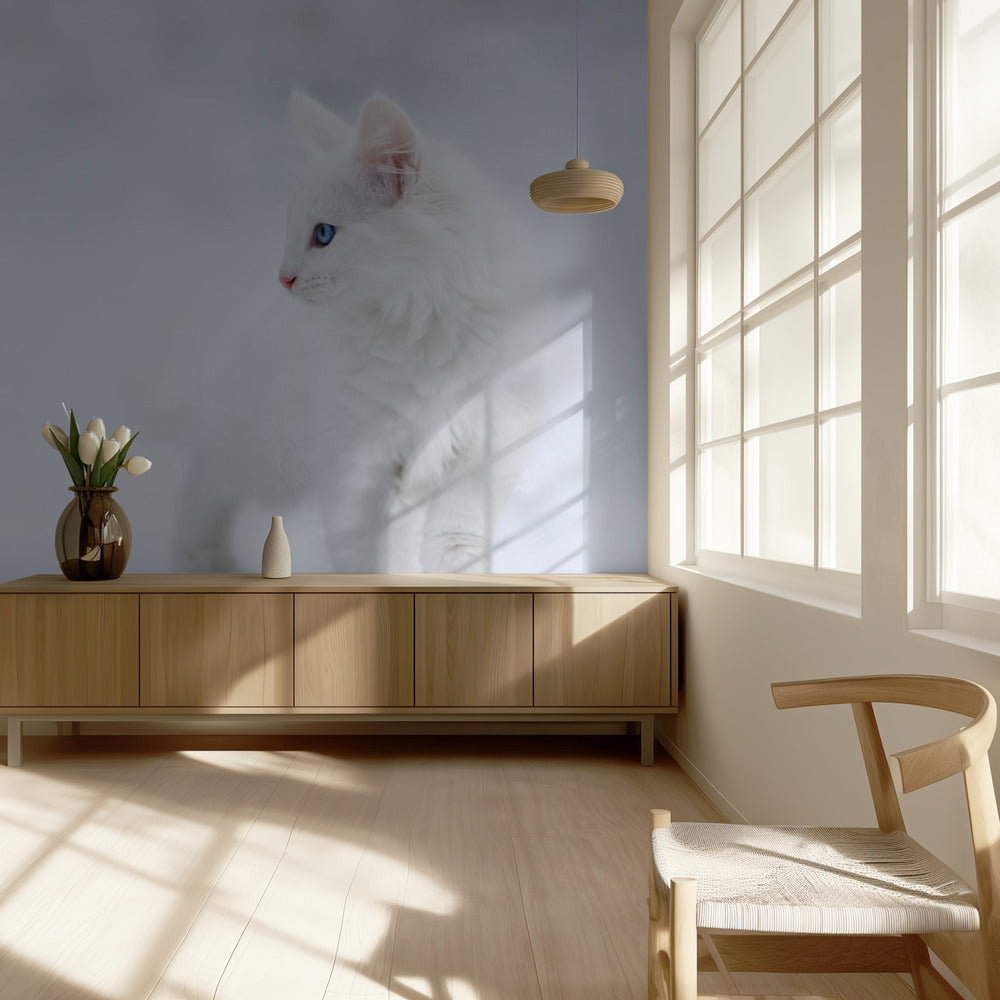 White as Snow | Wallpaper