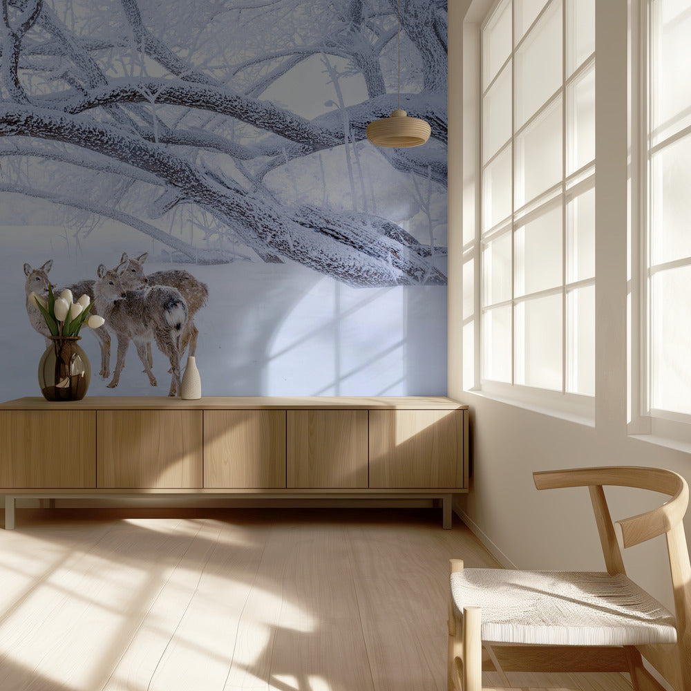 Deers' Walk in Snow | Wallpaper