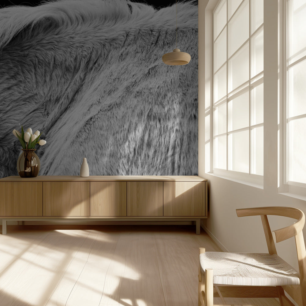 Horse II | Wallpaper