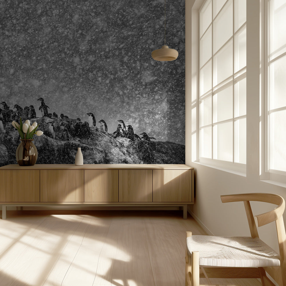 Antarctic storm | Wallpaper