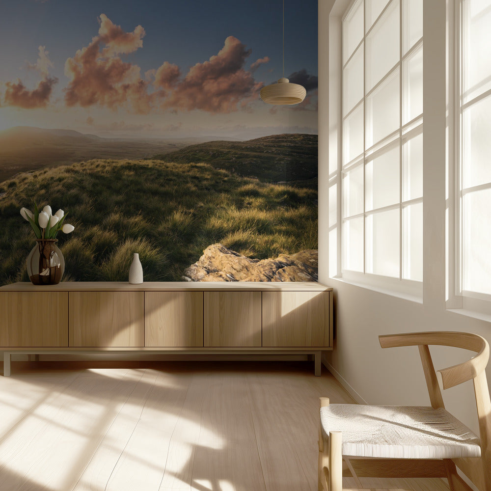 Soft Meadow | Wallpaper