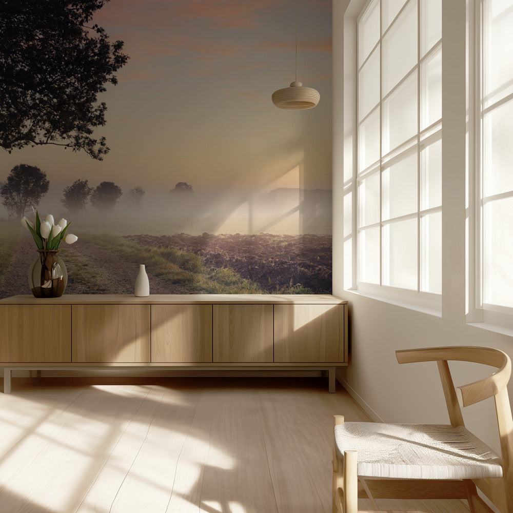 Mystic Path | Wallpaper