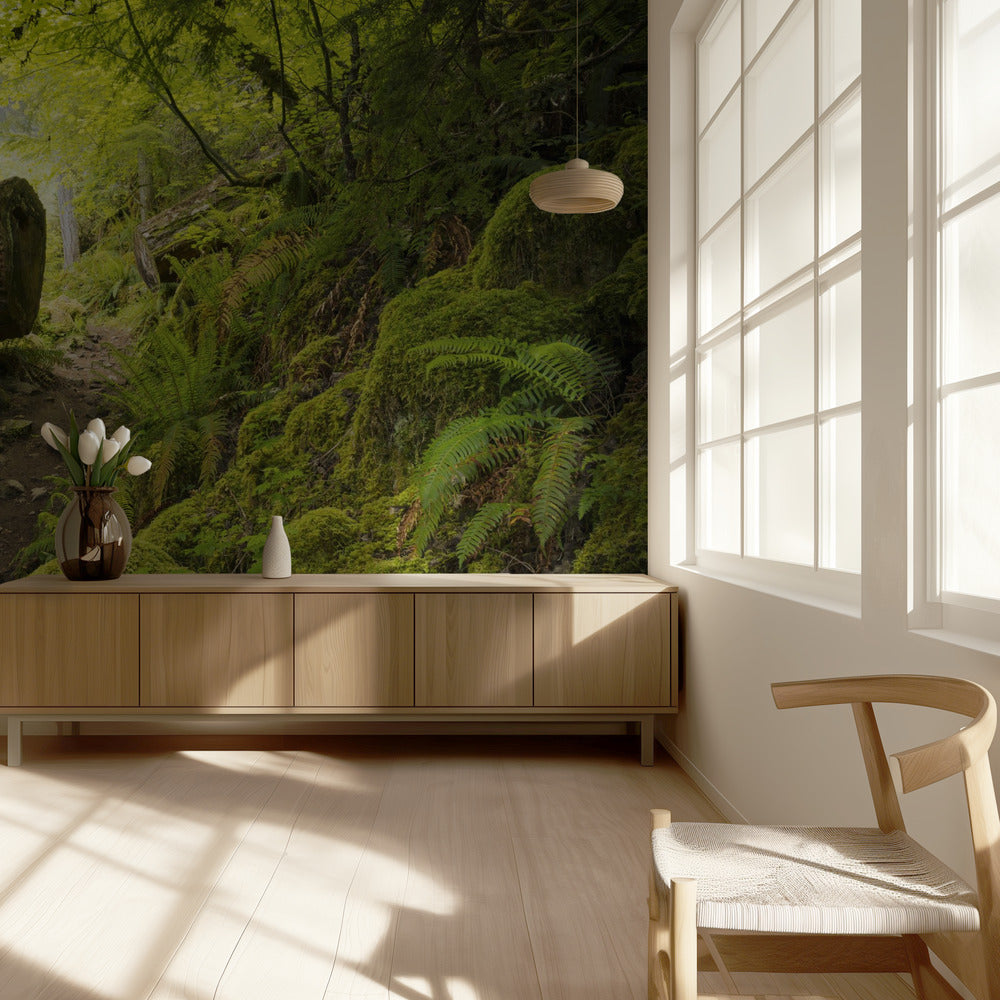 Mossy Path | Wallpaper