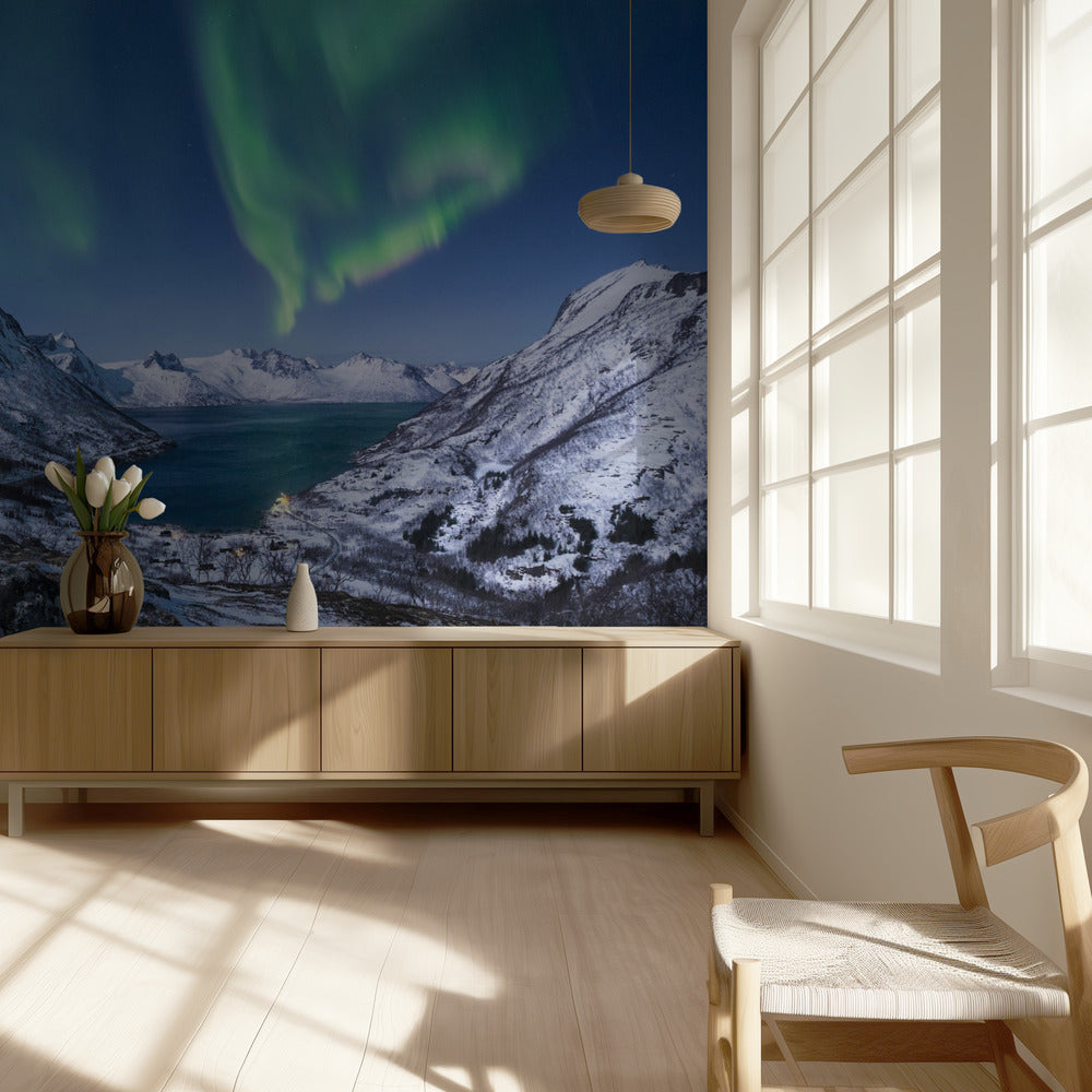 Aurora Nights | Wallpaper