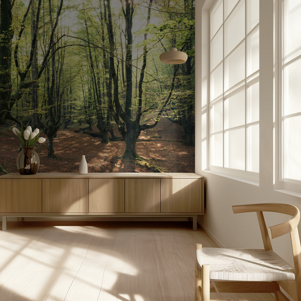 Forest Love | Wallpaper