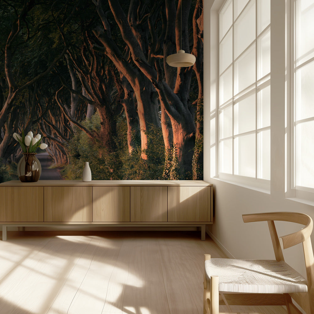 Red Avenue | Wallpaper