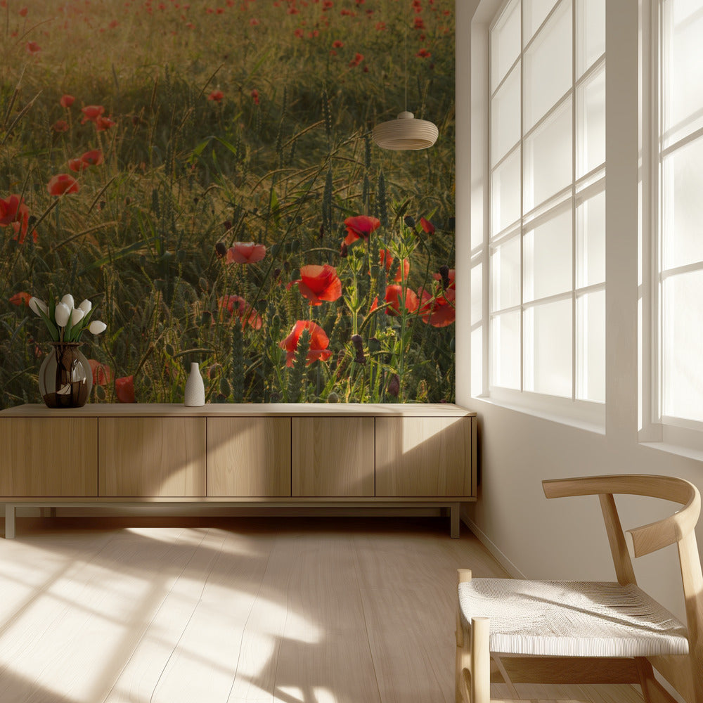 Poppy World II | Wallpaper