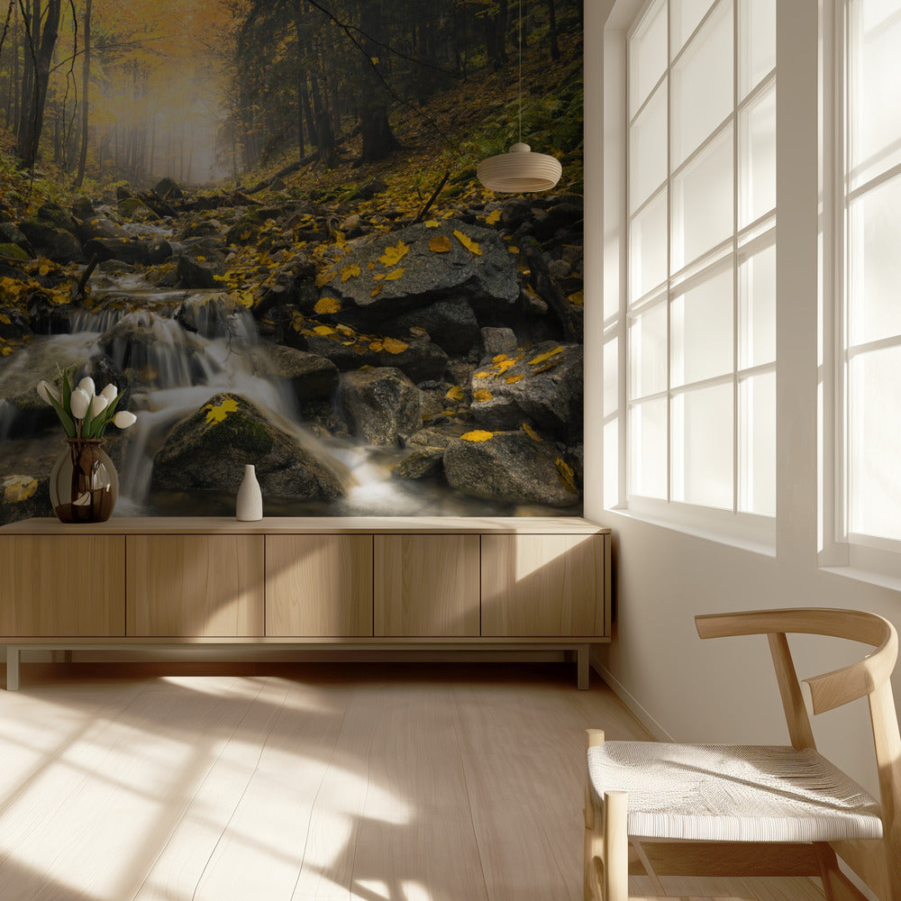 Autum Stream | Wallpaper