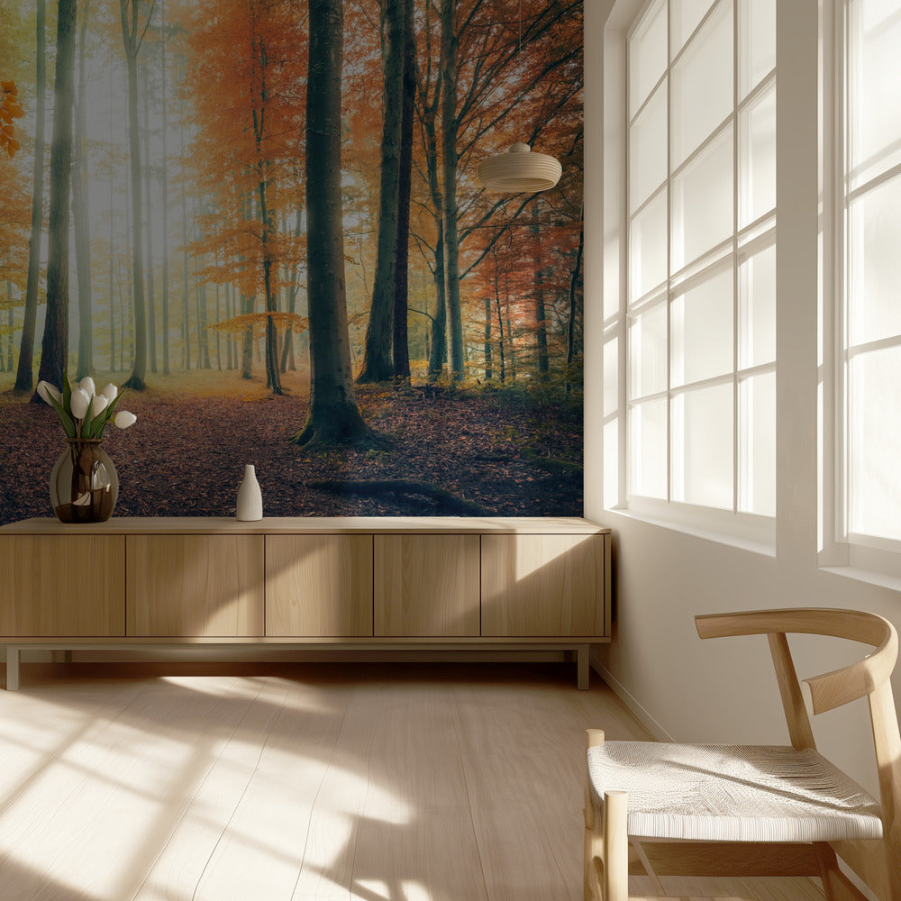 Autumn in the Woods | Wallpaper