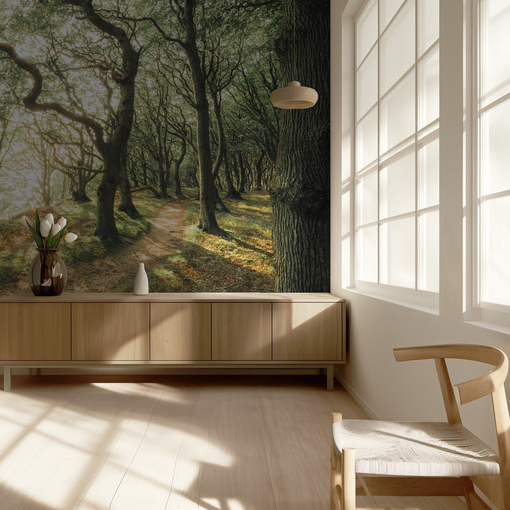 Magic Beech Wood | Wallpaper