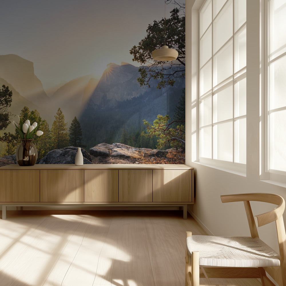 Yosemites Secret | Wallpaper