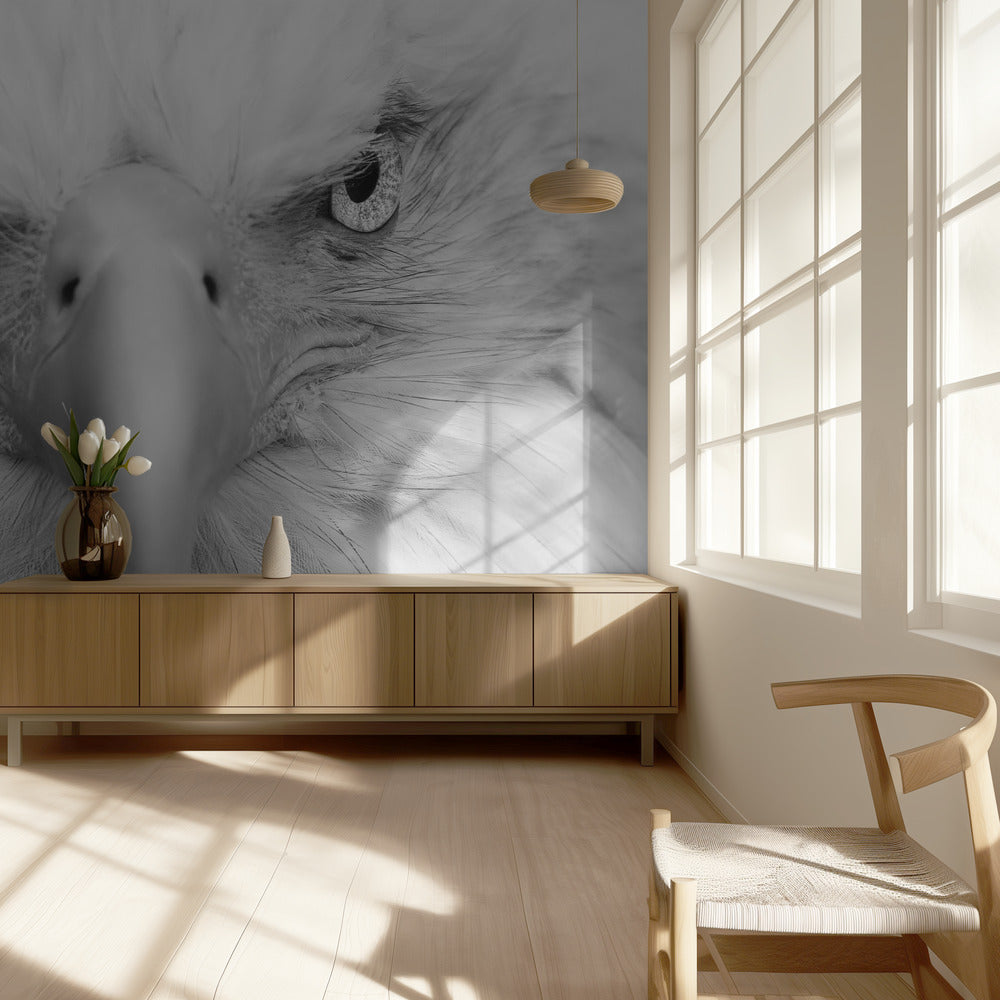 Killer Eyes | Wallpaper