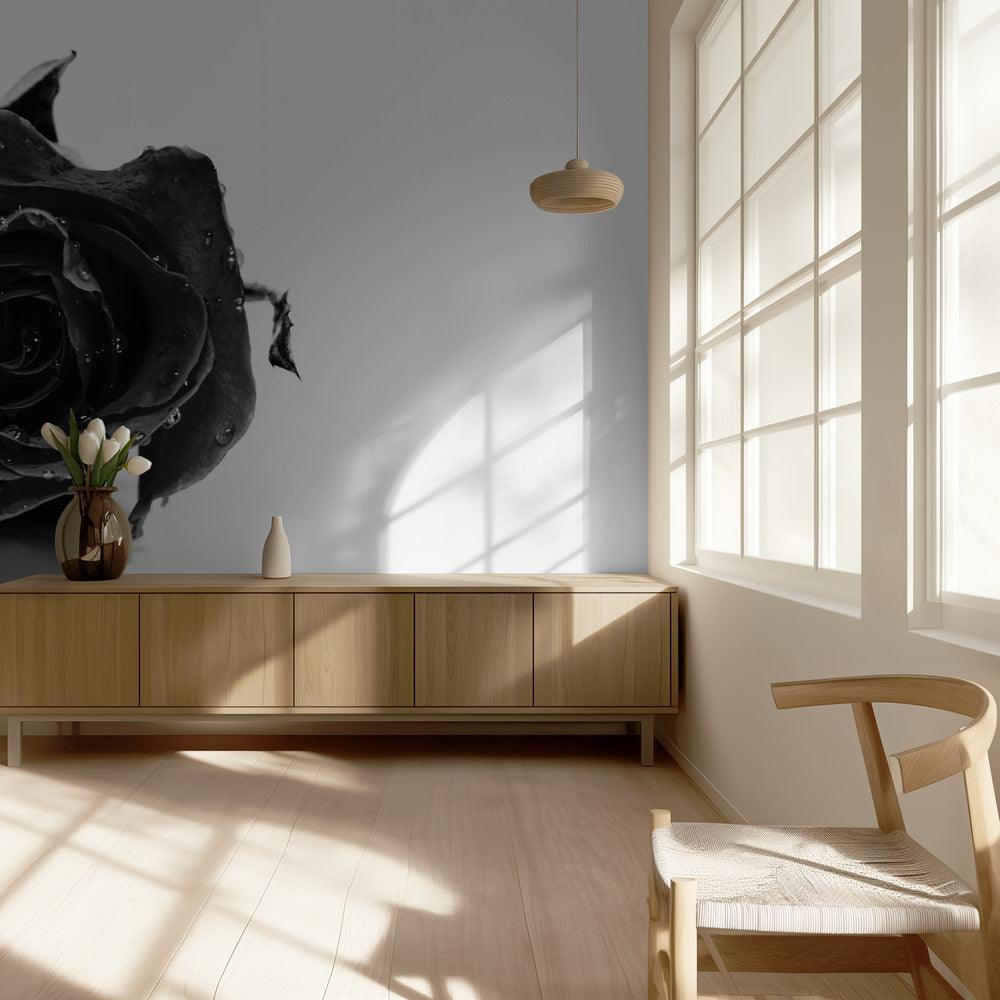 Rose Noir | Wallpaper