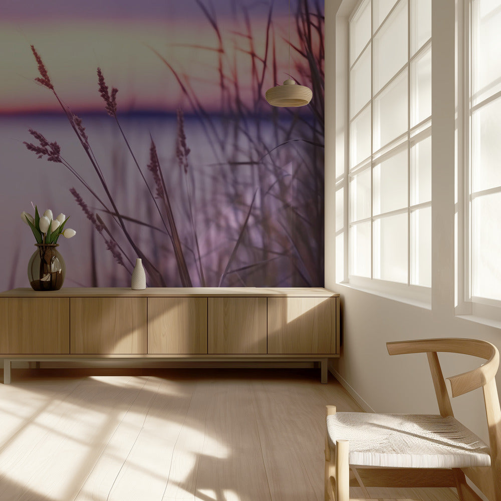 Serene Sunset Glow | Wallpaper