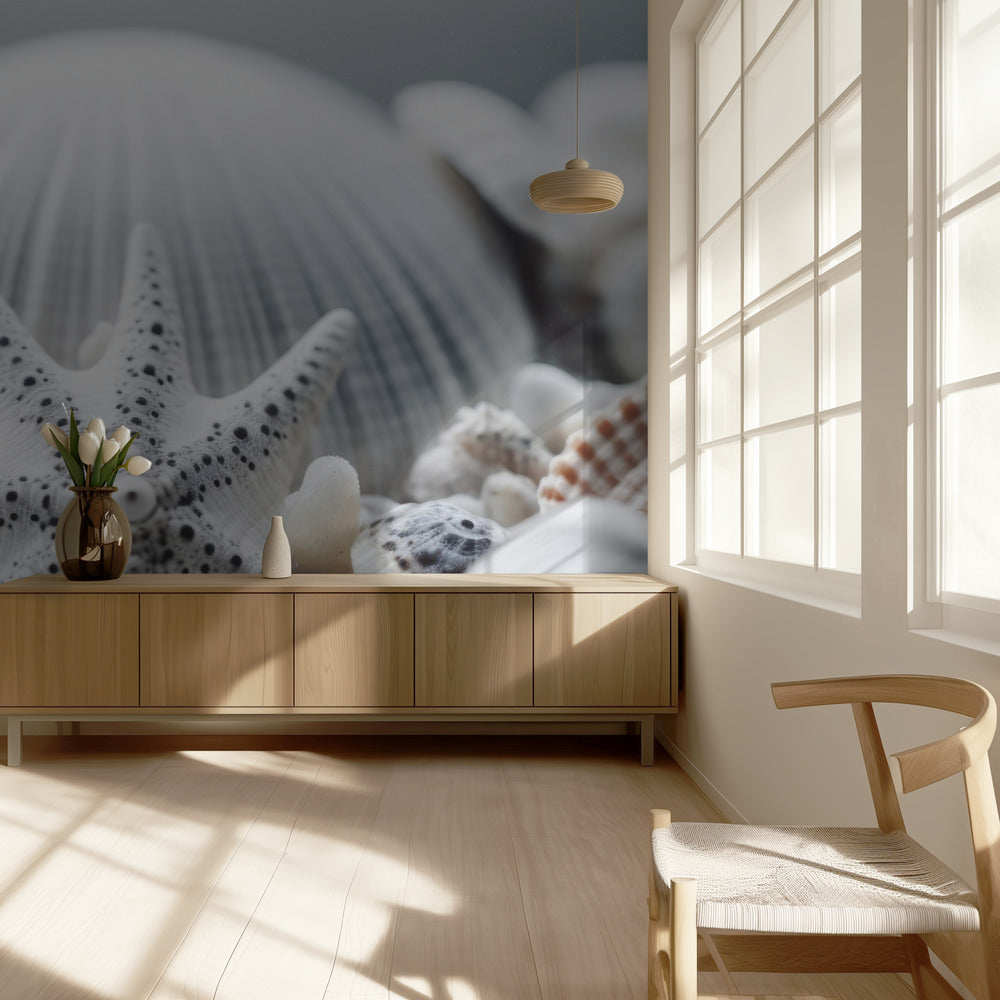 Seashell Symphony | Wallpaper