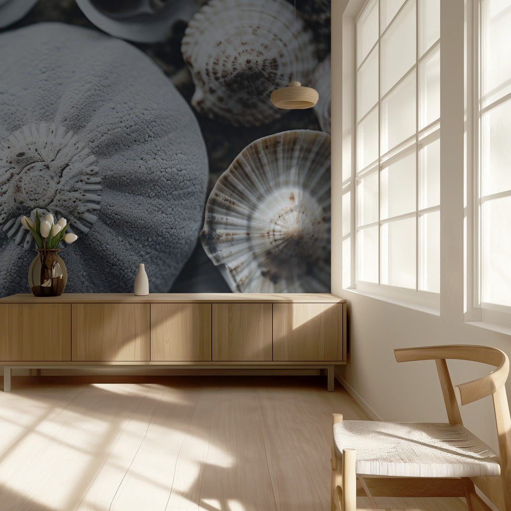 Seashell Symphony | Wallpaper