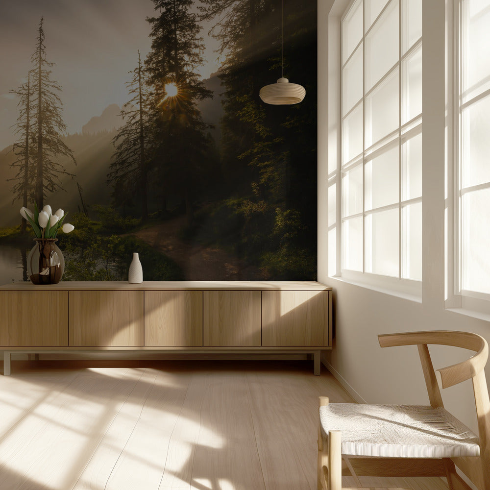 Morning Light | Wallpaper