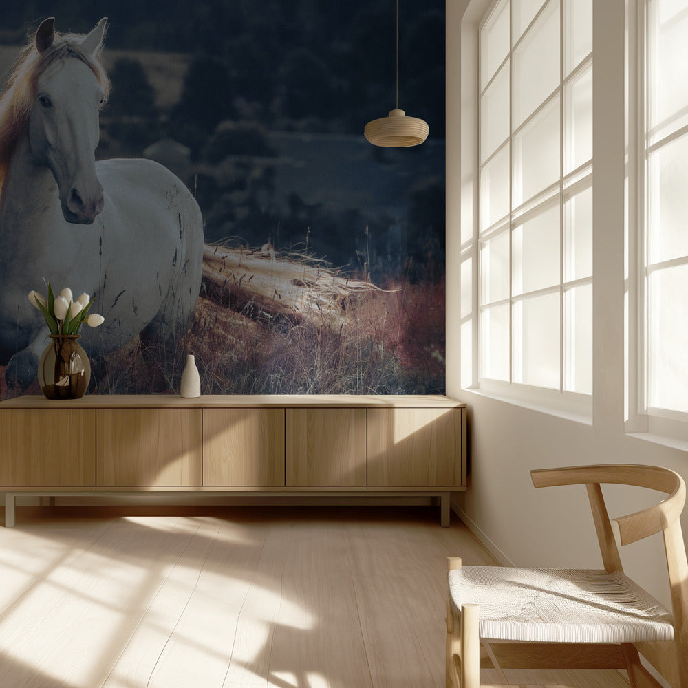 a short story about sunrise | Wallpaper