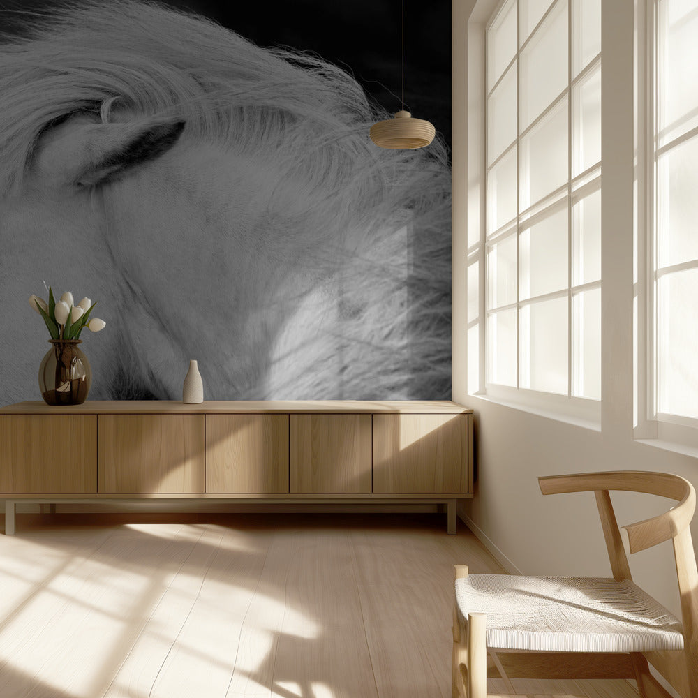 Listen to the Wind | Wallpaper