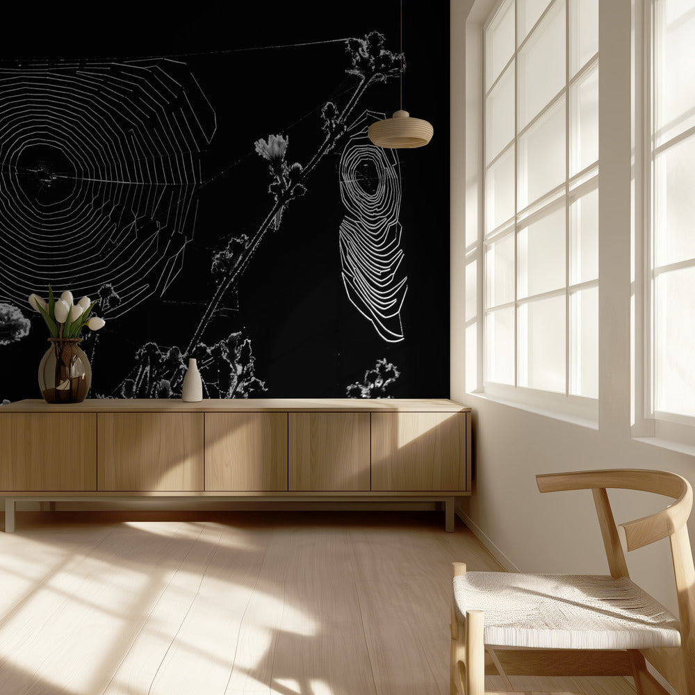 Spider Webs | Wallpaper