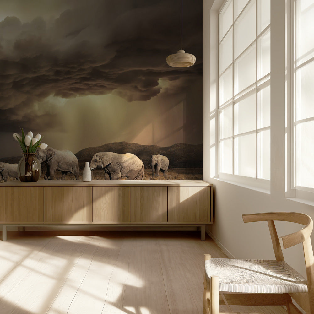 FreeElephants | Wallpaper