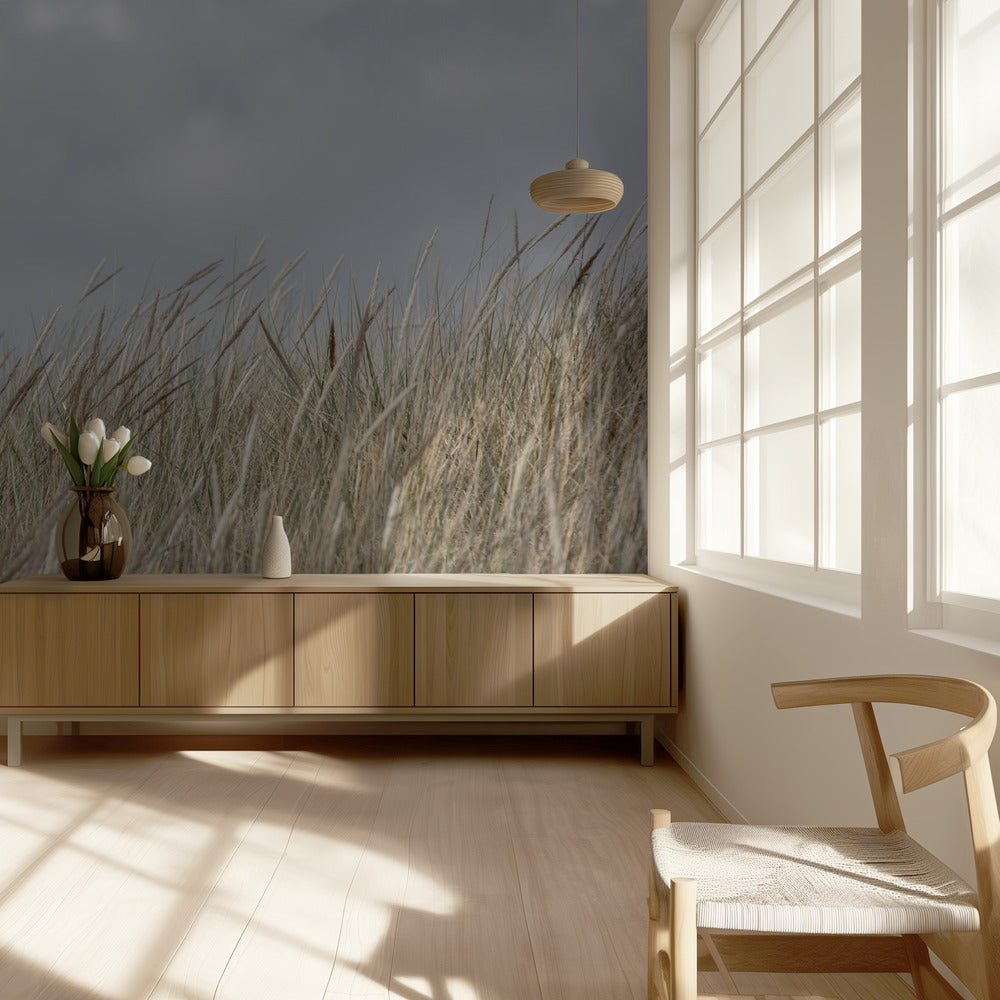 Dunes and Clouds | Wallpaper