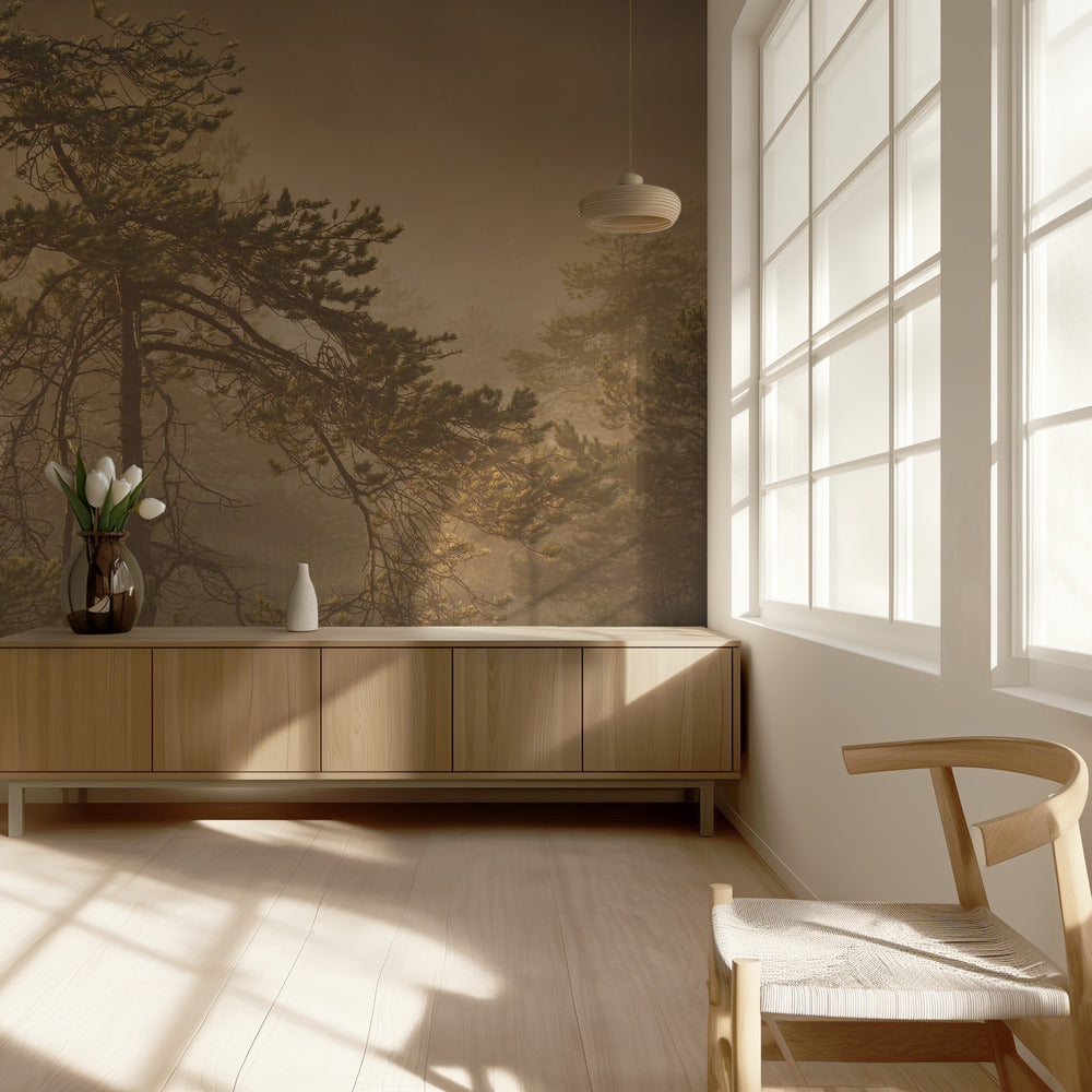 20220809  Dsf8003 1 | Wallpaper