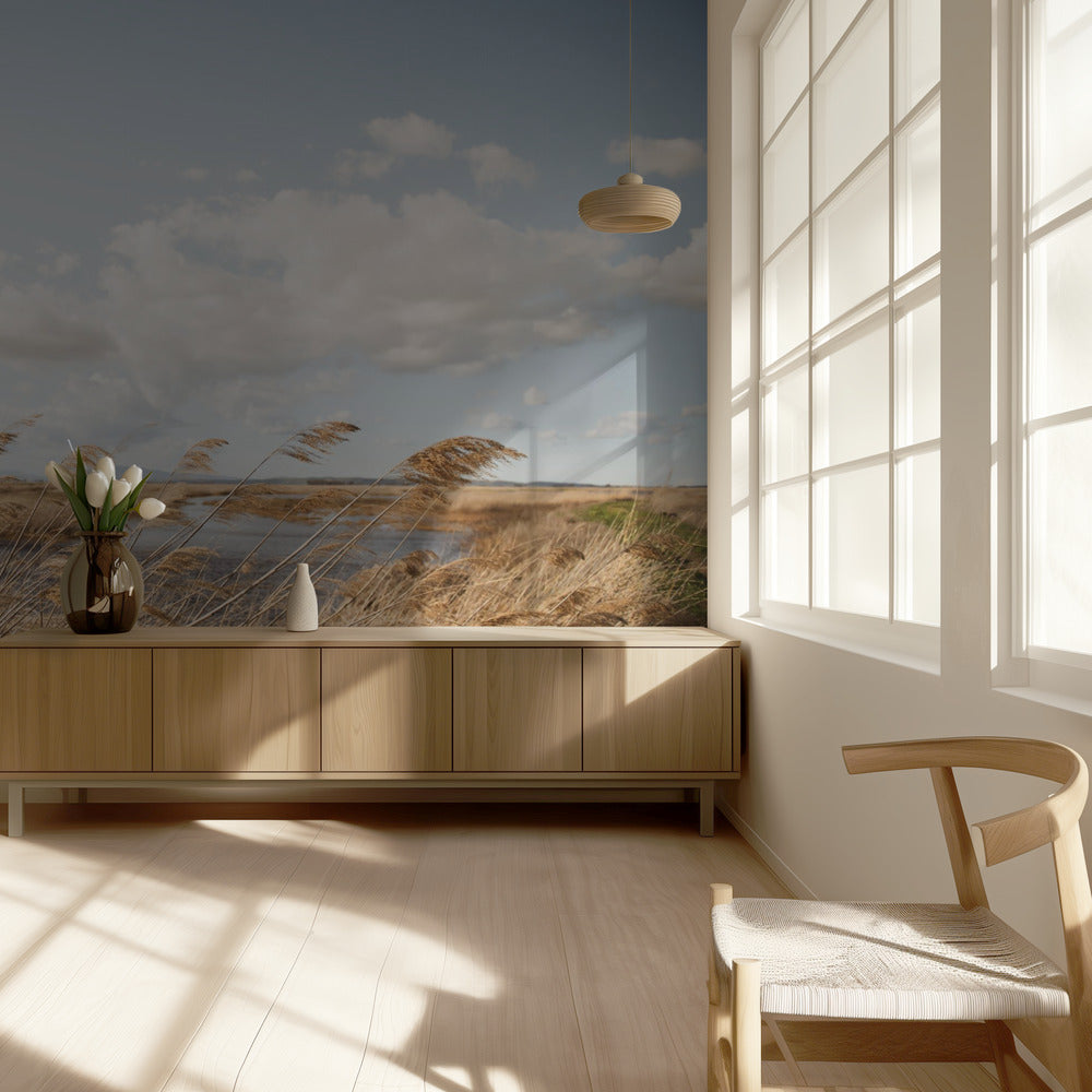 Marshland No.6 | Wallpaper