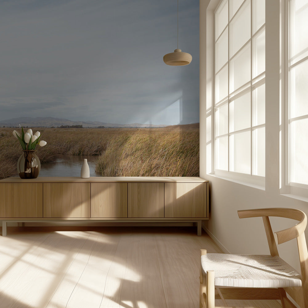 Marshland No.1 | Wallpaper