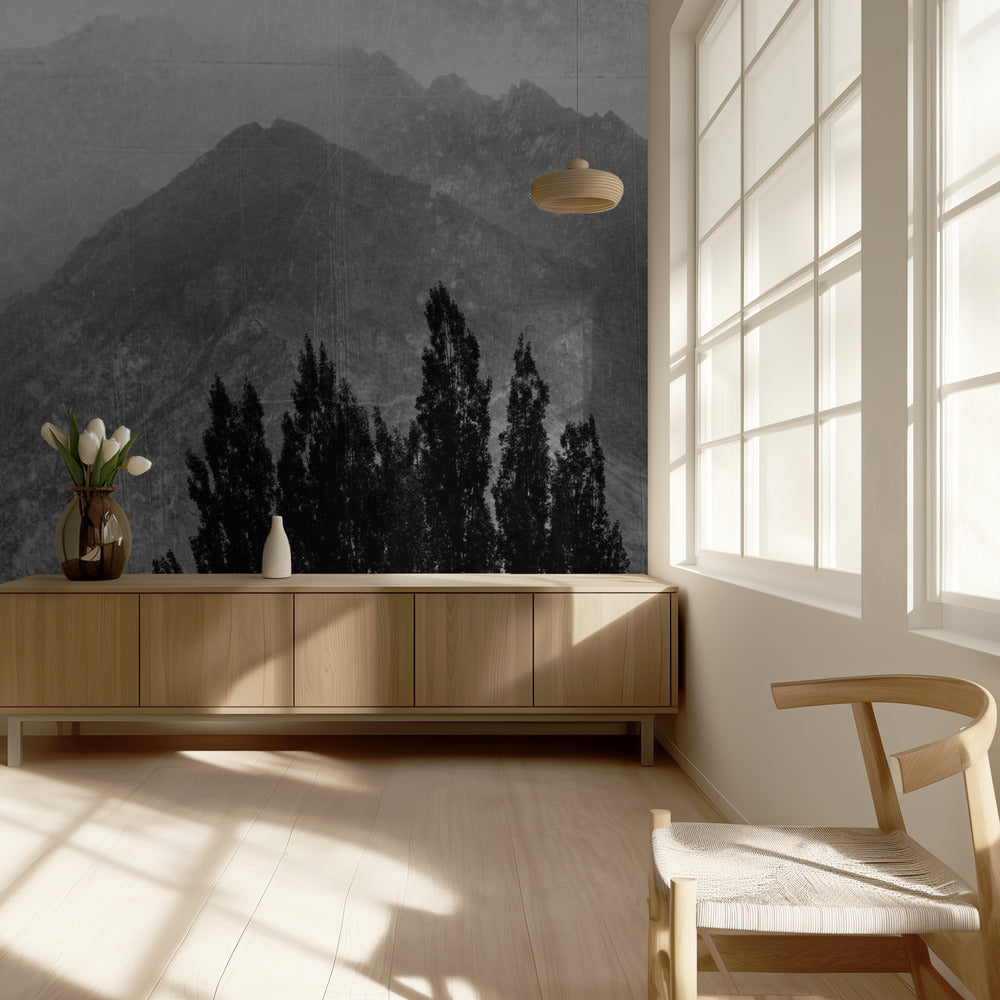 Trees in the mountains | Wallpaper