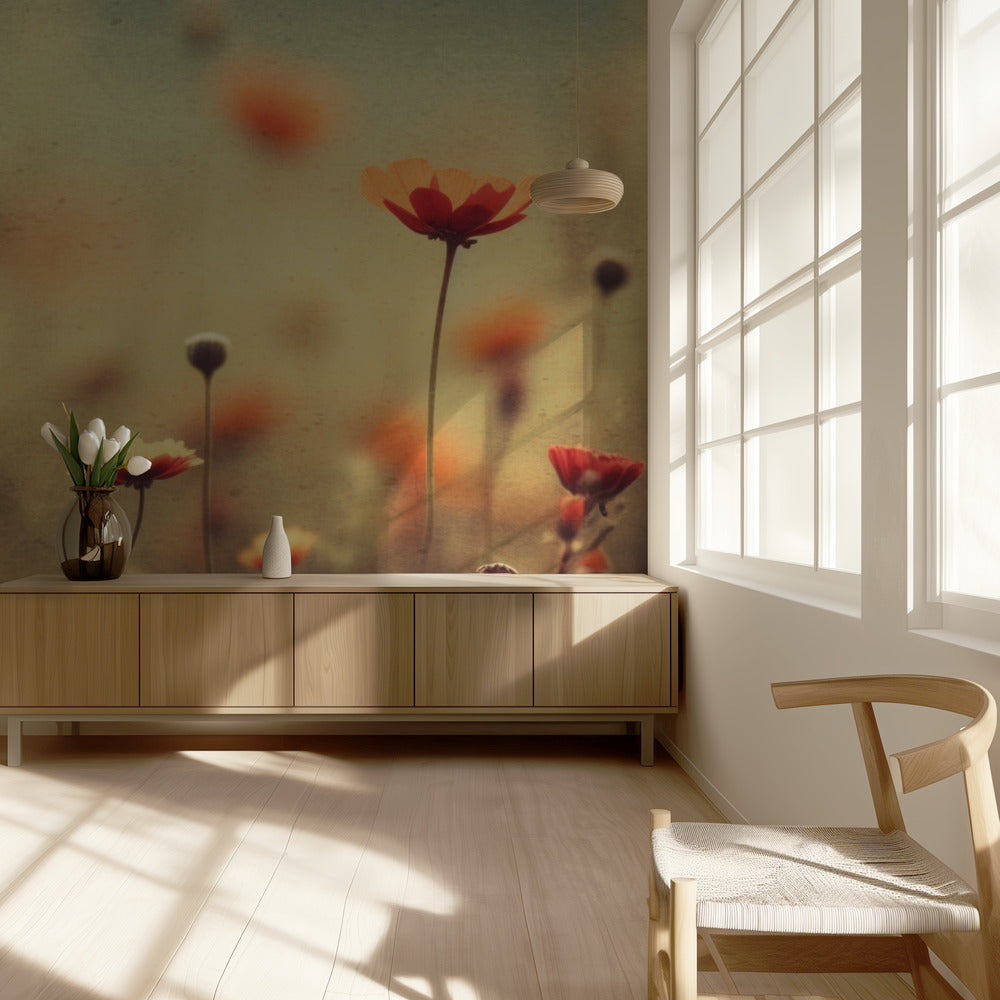 Whispering Poppies | Wallpaper