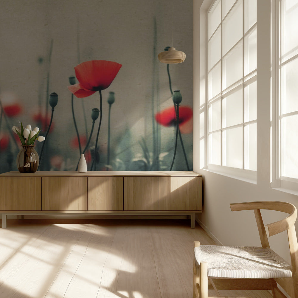 Poppies in the Mist | Wallpaper