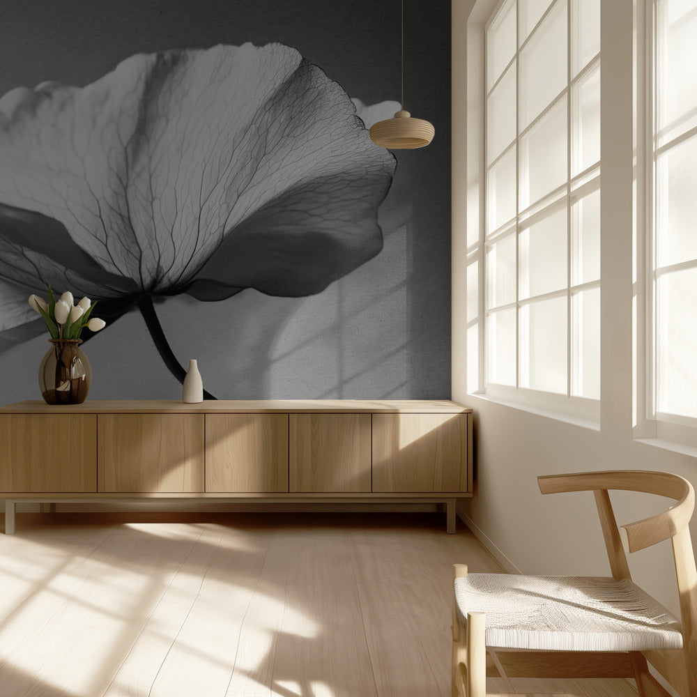 Delicate Petal Dance | Wallpaper