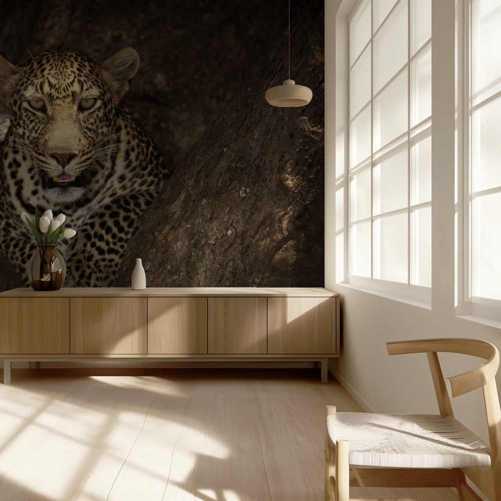 Leopard Resting on a Tree at Masai Mara | Wallpaper