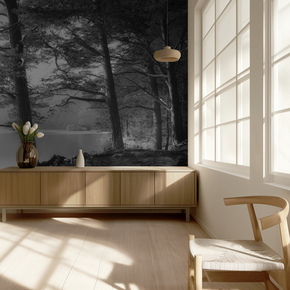 Loch an Eilein | Wallpaper