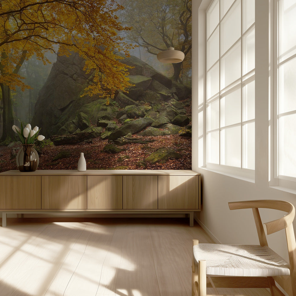 Autumn forest | Wallpaper