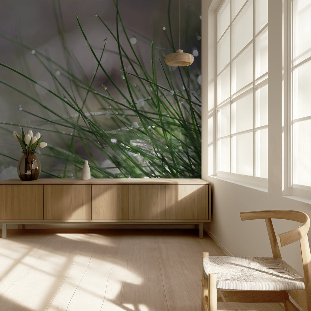 Imminent Landing | Wallpaper