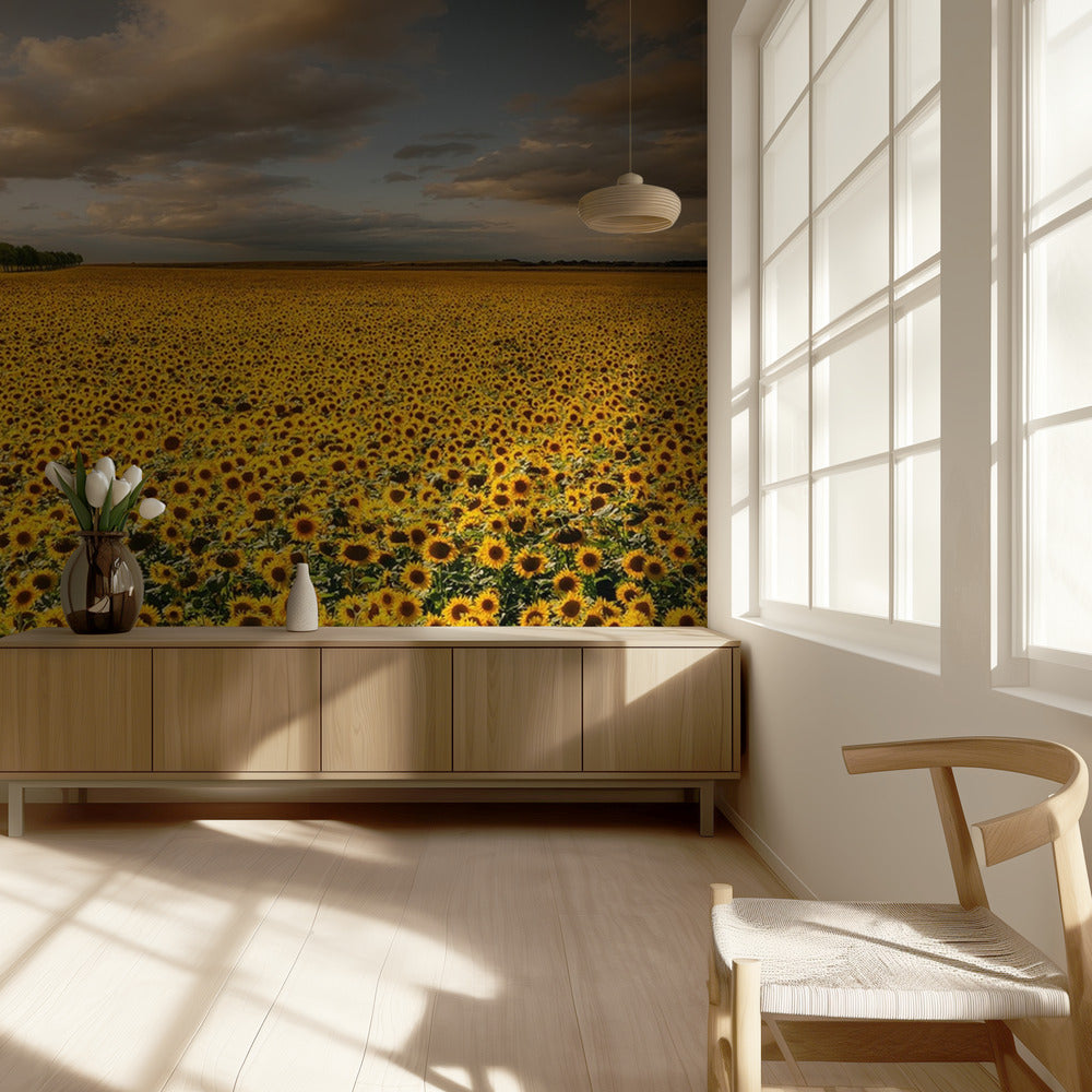 Sunflowers | Wallpaper