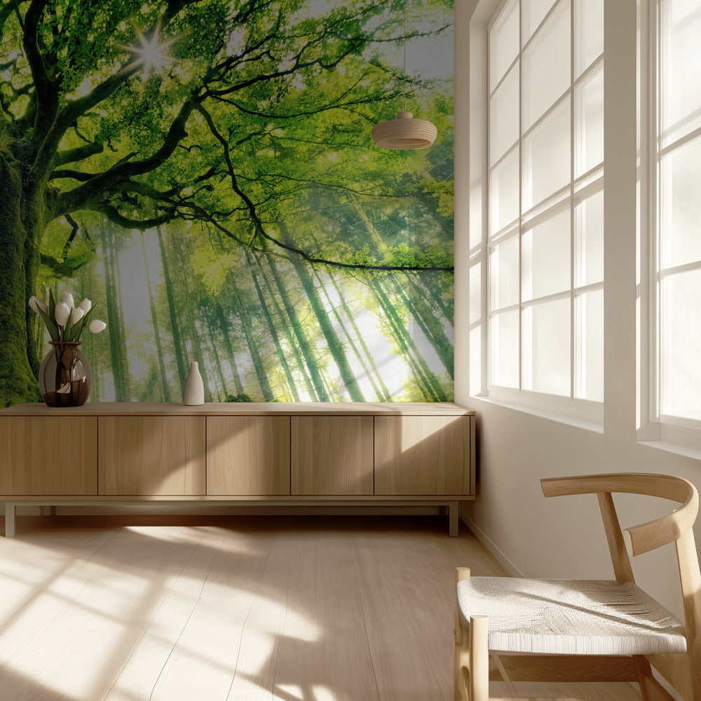 Ponthus' Beech | Wallpaper