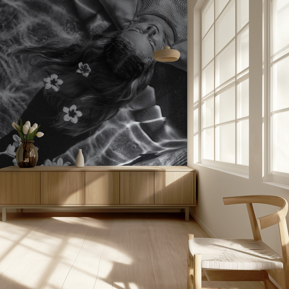 Frangipani tree | Wallpaper