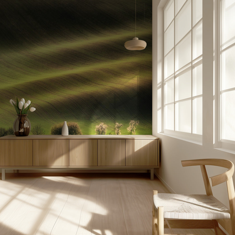 Moravian Fields | Wallpaper