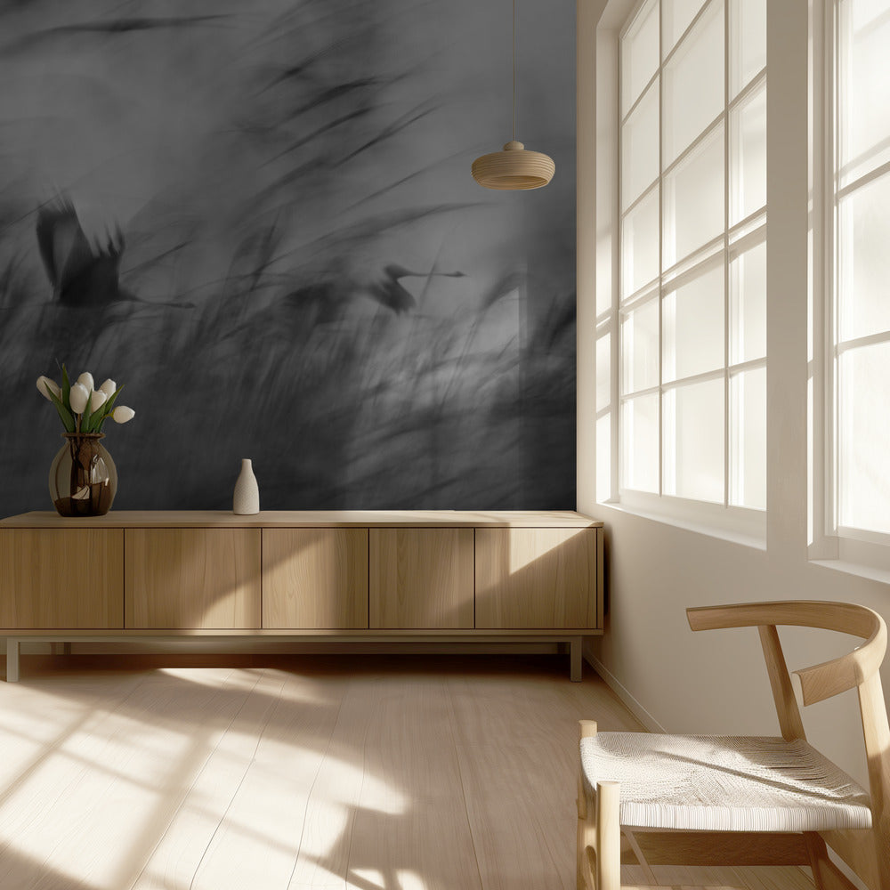 Out of the Blue | Wallpaper